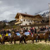 Schafausstellung Tiroler Bergschaf  (13)